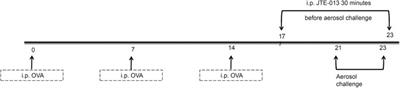 S1PR2 Inhibition Attenuates Allergic Asthma Possibly by Regulating Autophagy